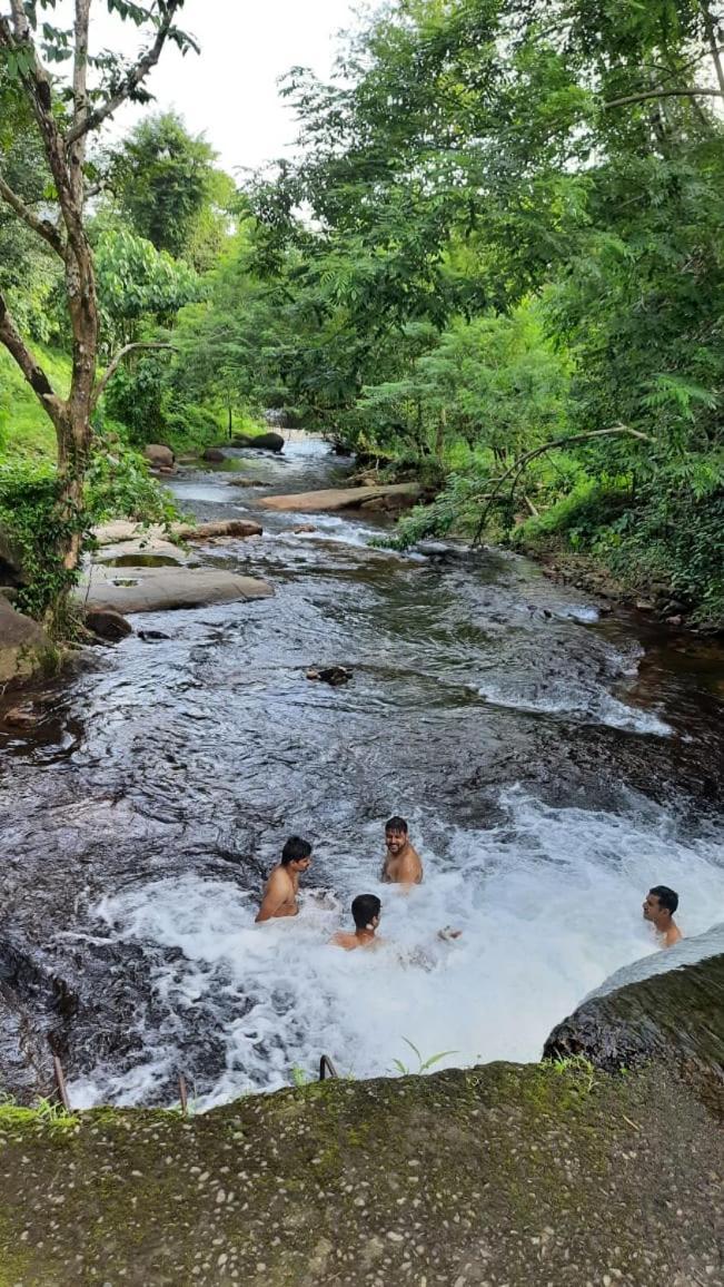 Hotel Wildglamps Athirappilly Exteriér fotografie